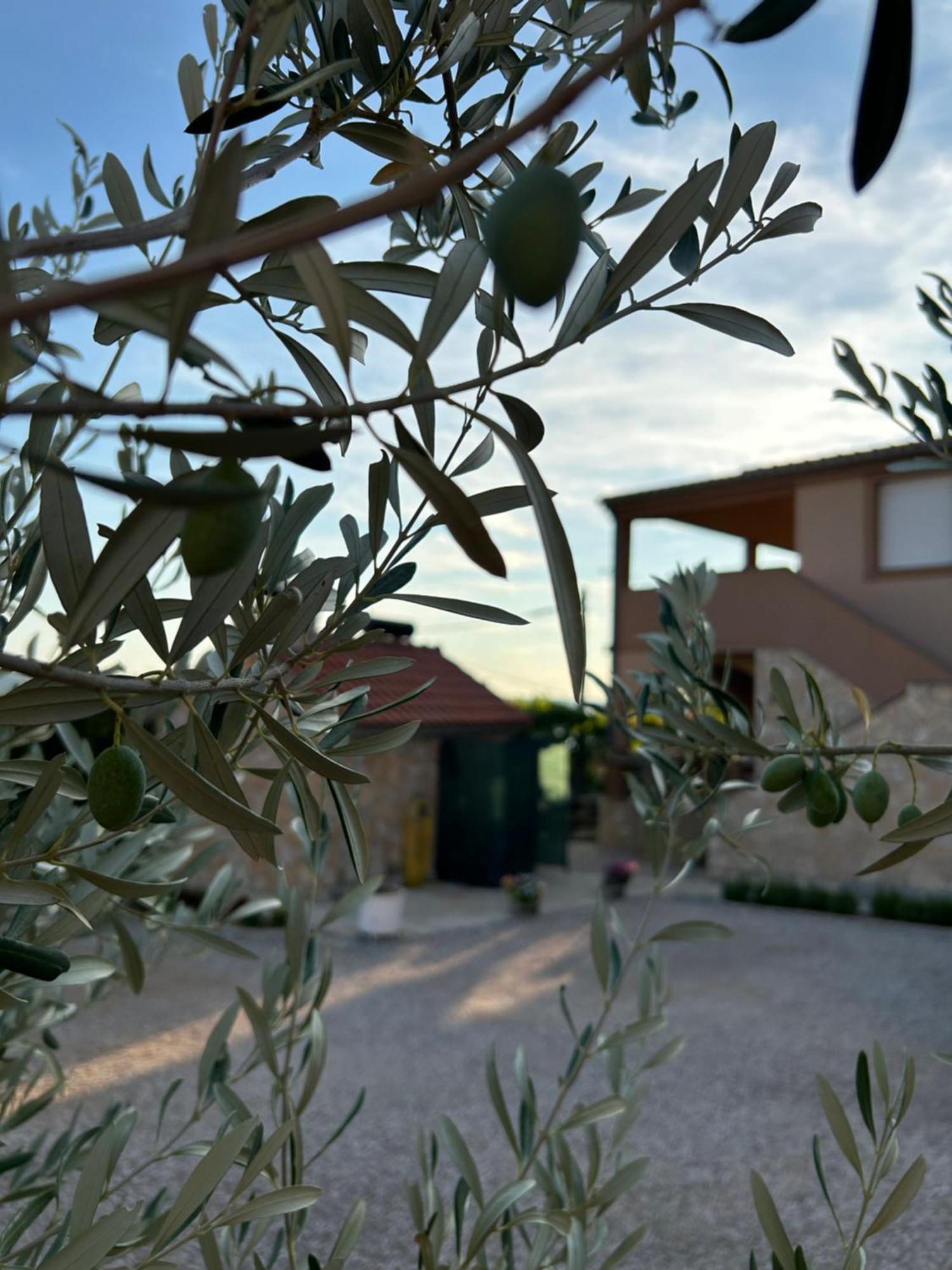 Appartamento Danisacroatia Maslenica Esterno foto