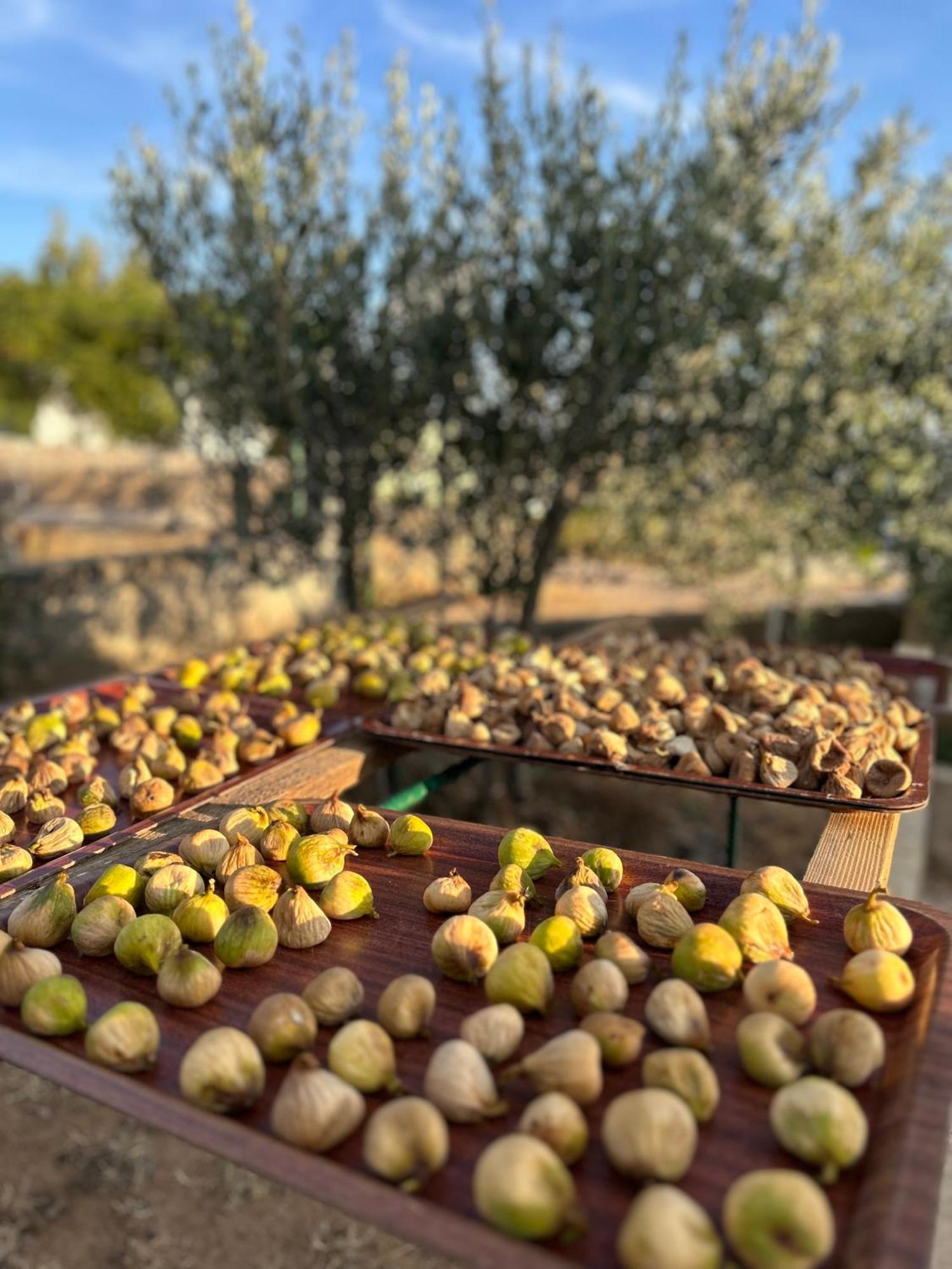 Appartamento Danisacroatia Maslenica Esterno foto